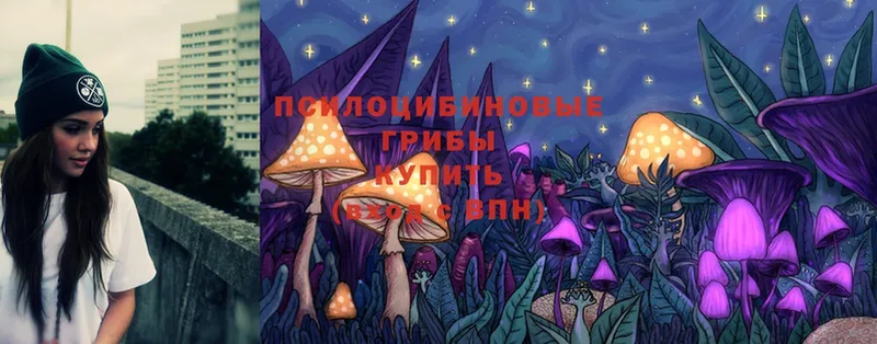 мориарти Telegram  магазин продажи наркотиков  Советский  Псилоцибиновые грибы MAGIC MUSHROOMS 